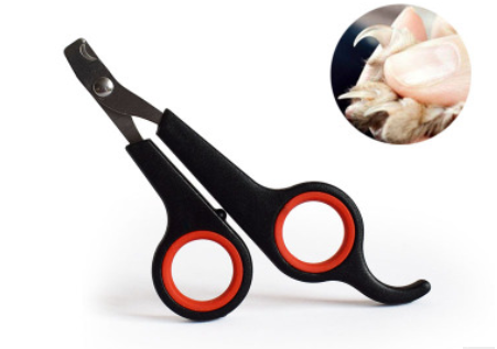 Photo du produit